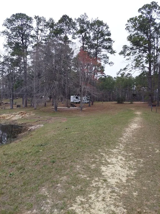 Valentine Lake North Campground Picture 2