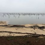 Cotile Recreation Area