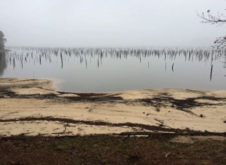 Cotile Recreation Area