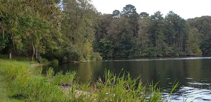 Cotile Recreation Area Picture 2