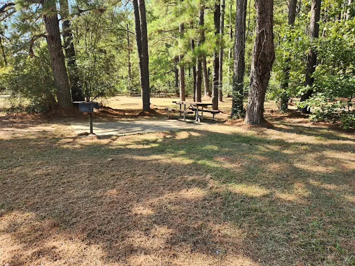 Loran Camp and Trailhead Picture 10