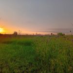 Woolen Lake Road Campground and Boat Launch