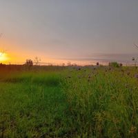 Woolen Lake Road Campground and Boat Launch ico