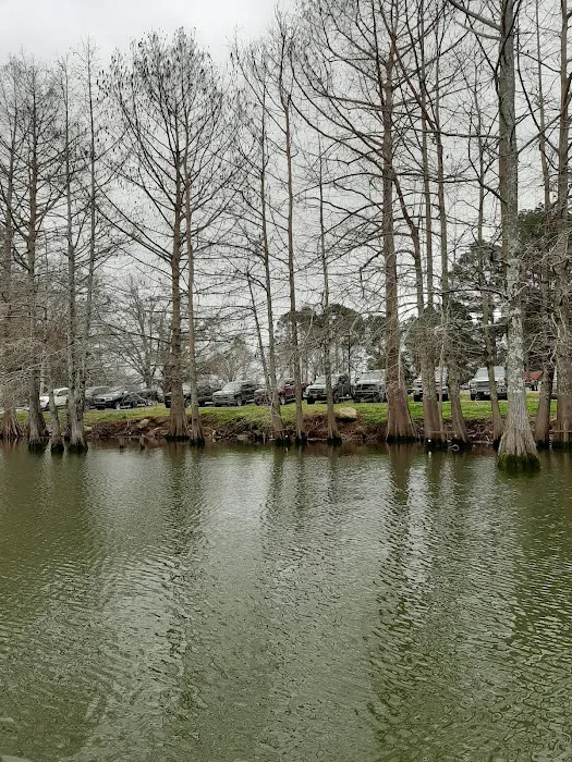 Woolen Lake Road Campground and Boat Launch Picture 6
