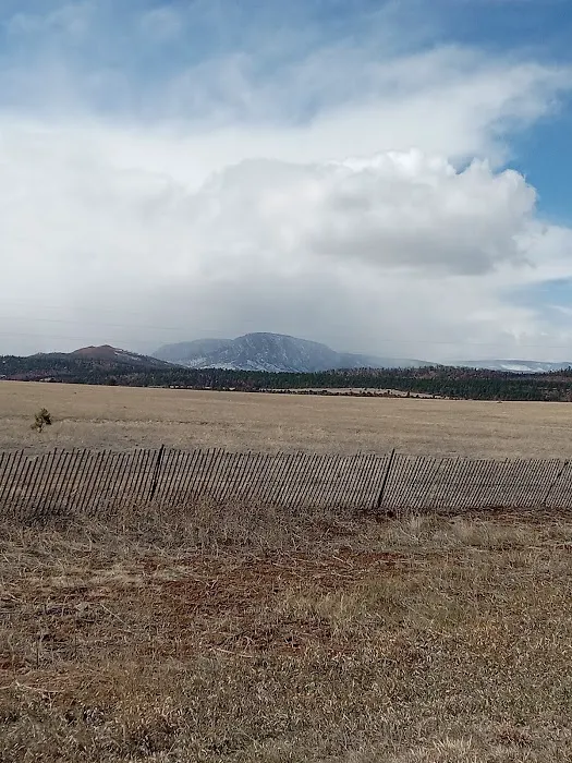 New Mexico State Forestry Picture 1