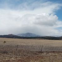 New Mexico State Forestry ico
