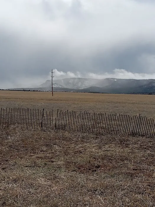 New Mexico State Forestry Picture 3