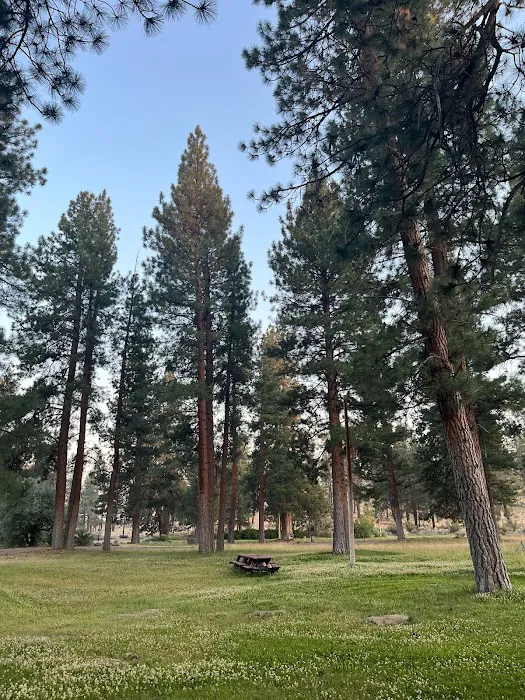 Coyote Ridge Campground Picture 7