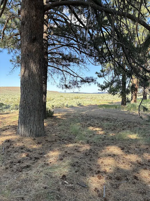 Coyote Ridge Campground Picture 8