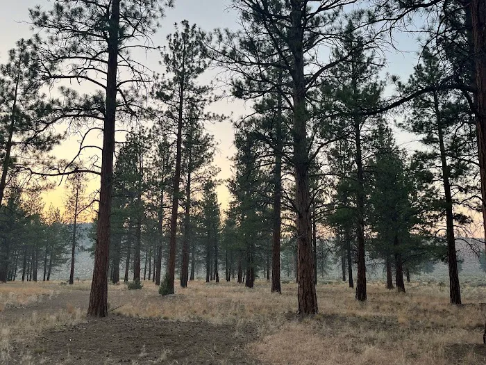 Coyote Ridge Campground Picture 3