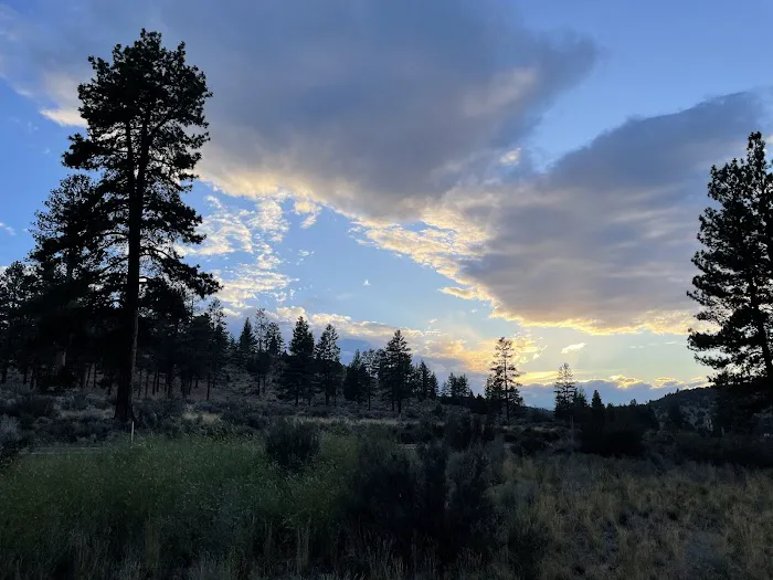 Coyote Ridge Campground Picture 5