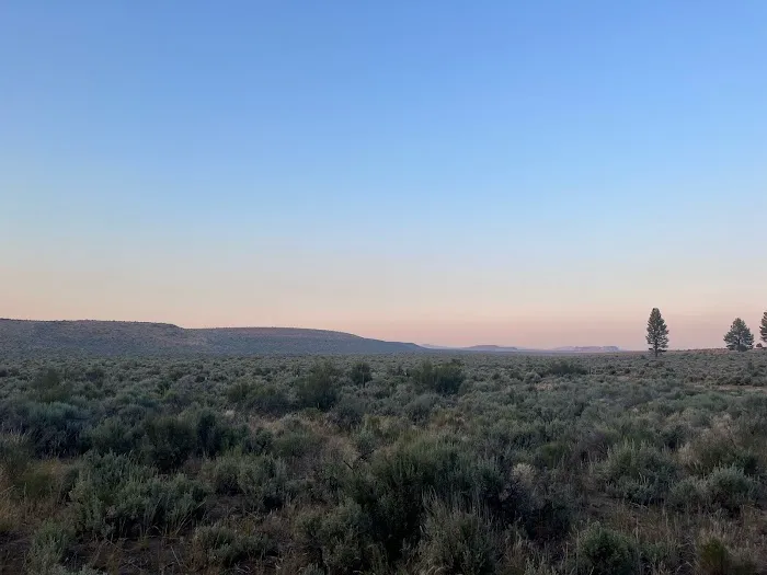 Coyote Ridge Campground Picture 2