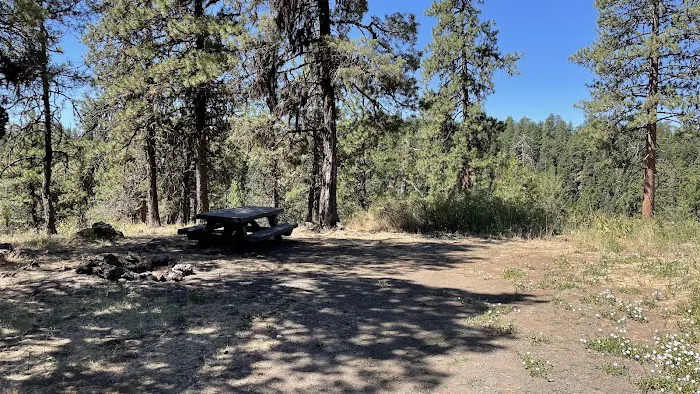 Fairview Campground Picture 4