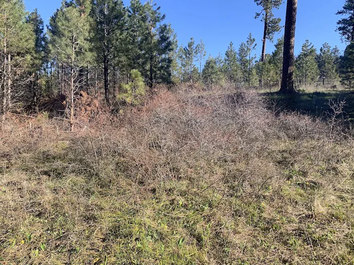 Fairview Campground Picture 5