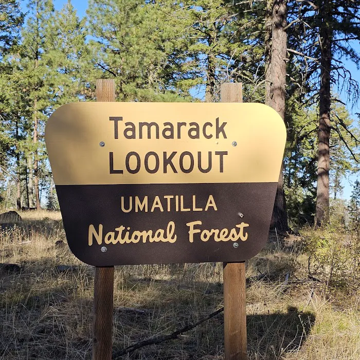 Tamarack Lookout Cabin Picture 8