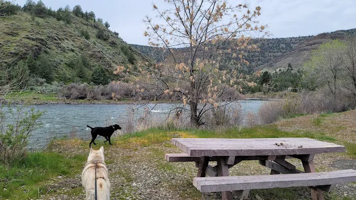 Lone Pine Campground Picture 6