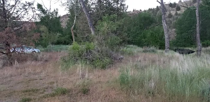 Lone Pine Campground Picture 5