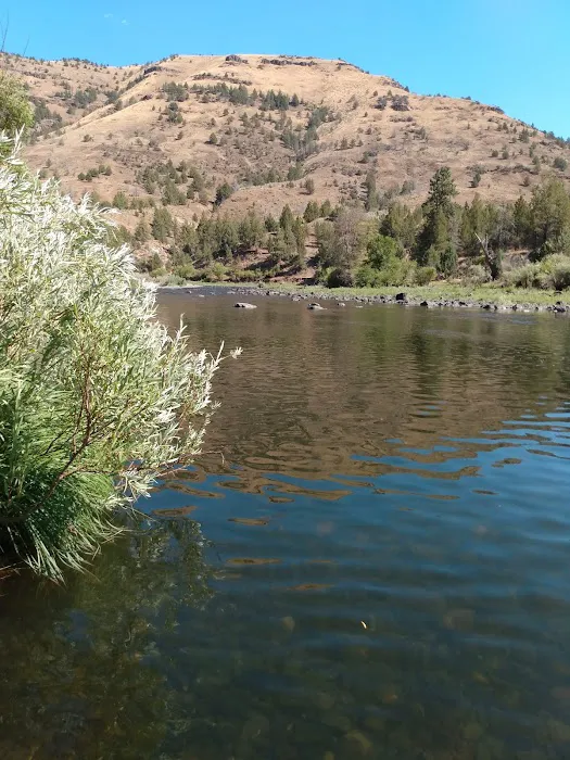 Lone Pine Campground Picture 4