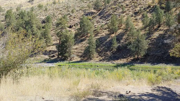 Big Bend Campground Picture 6
