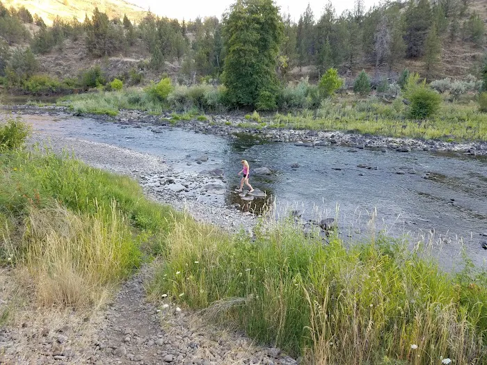 Big Bend Campground Picture 2