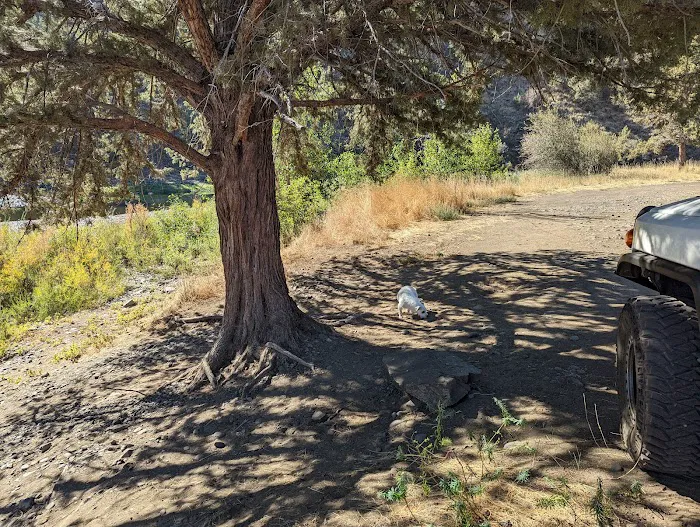 Big Bend Campground Picture 8