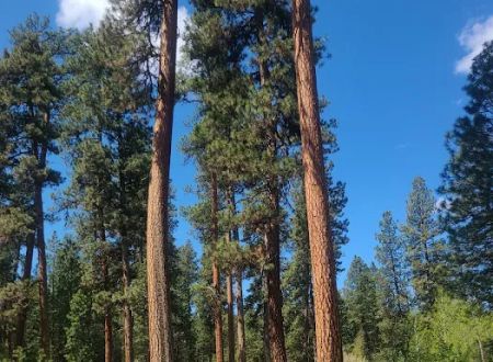 Frazier Springs Campground