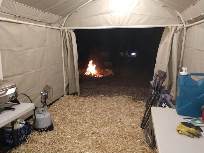 Frazier Springs Campground Picture 3