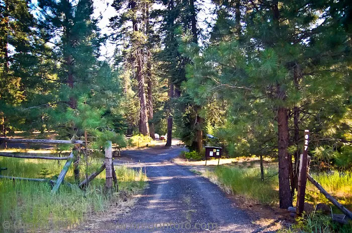 Billy Fields Forest Camp Picture 7