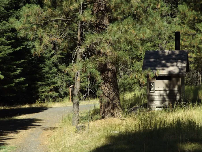 Billy Fields Forest Camp Picture 2
