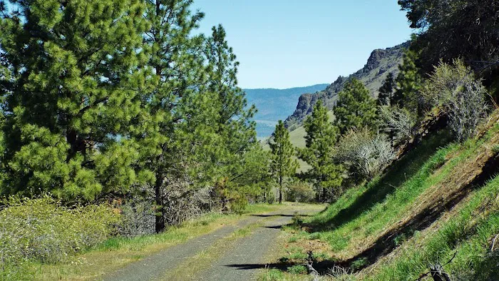 Oregon Mine Campground Picture 2