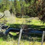 Oregon Mine Campground