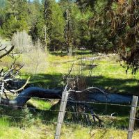 Oregon Mine Campground ico