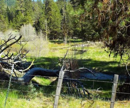Oregon Mine Campground