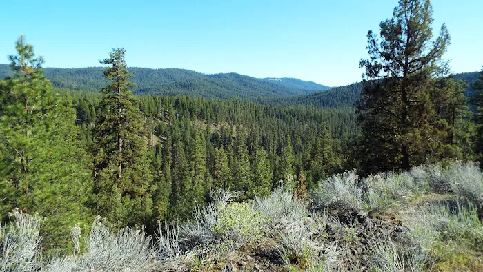 Oregon Mine Campground Picture 3