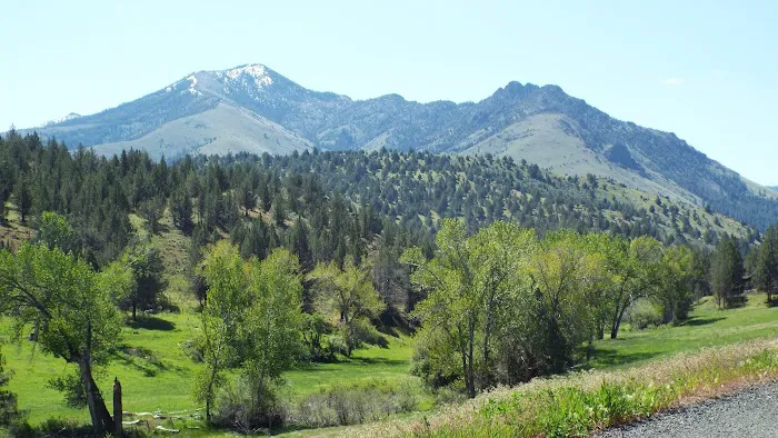 Oregon Mine Campground Picture 6