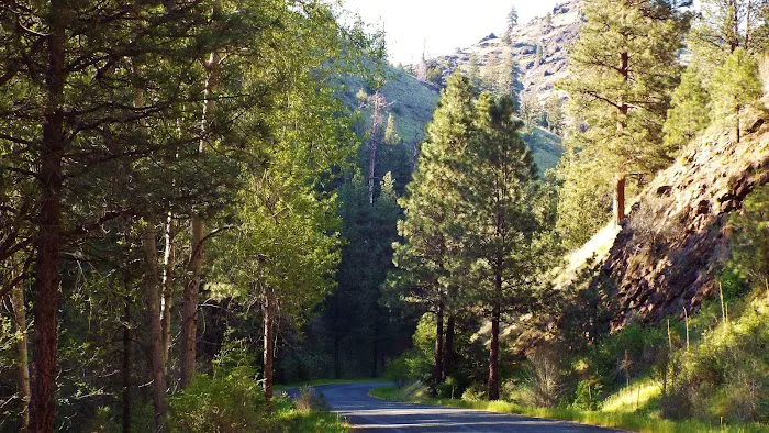 Oregon Mine Campground Picture 8