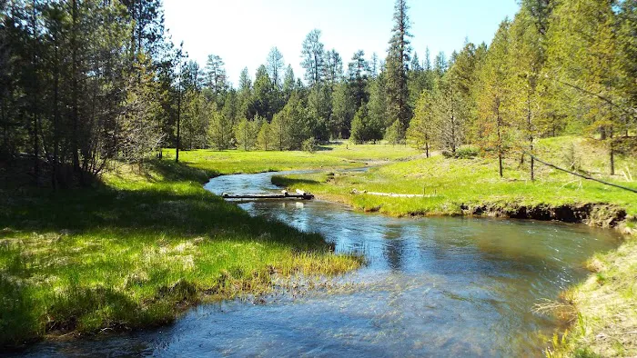 Oregon Mine Campground Picture 5