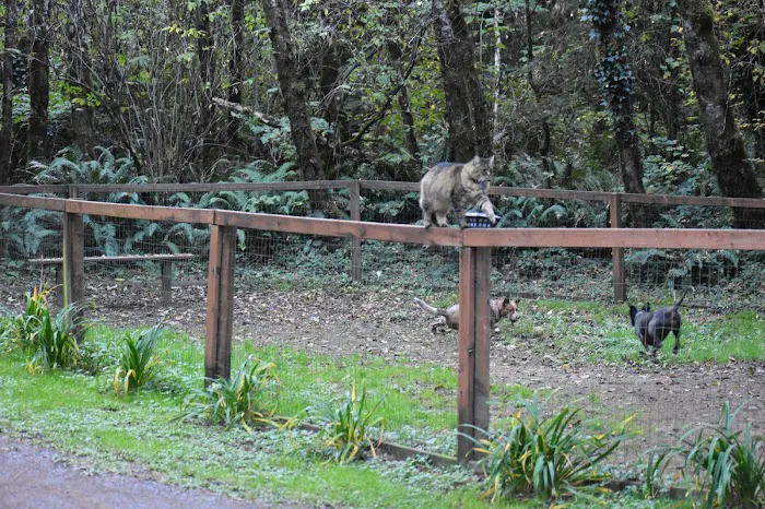 Bandon / Port Orford KOA Journey Picture 10