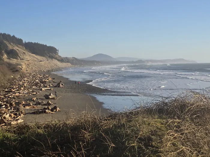 Cape Blanco Campground Picture 2