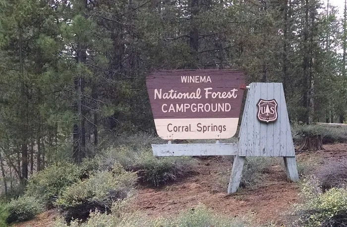 Corral Springs Campground Picture 6