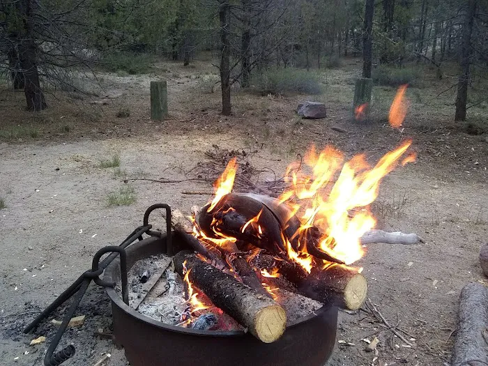 Corral Springs Campground Picture 9
