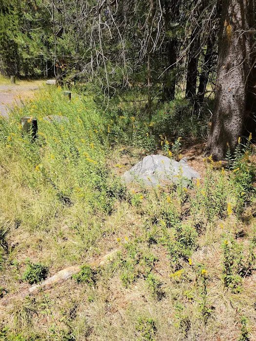 Corral Springs Campground Picture 3