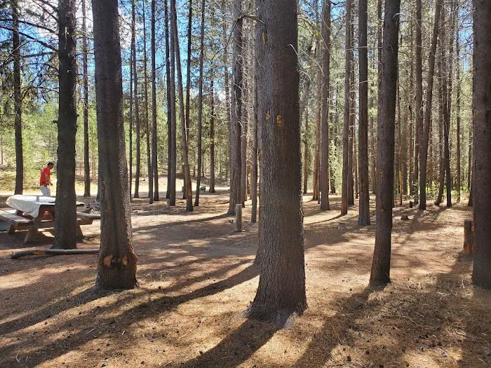 Corral Springs Campground Picture 2