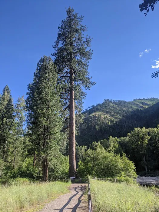 Big Pine Campground Picture 6