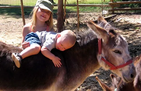 Whitefish / Kalispell North KOA Holiday Picture 7