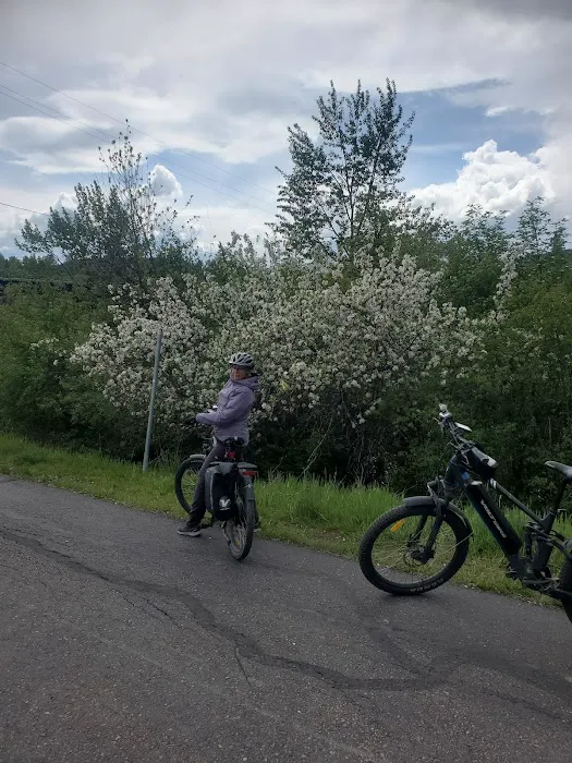 Whitefish Campground Picture 5