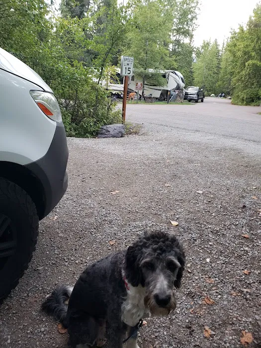 Whitefish Campground Picture 7