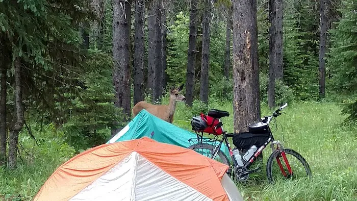 Tuchuck Campground Picture 5