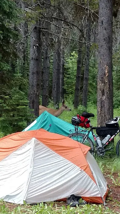 Tuchuck Campground Picture 6
