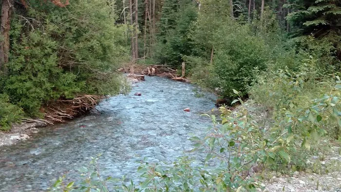Tuchuck Campground Picture 7